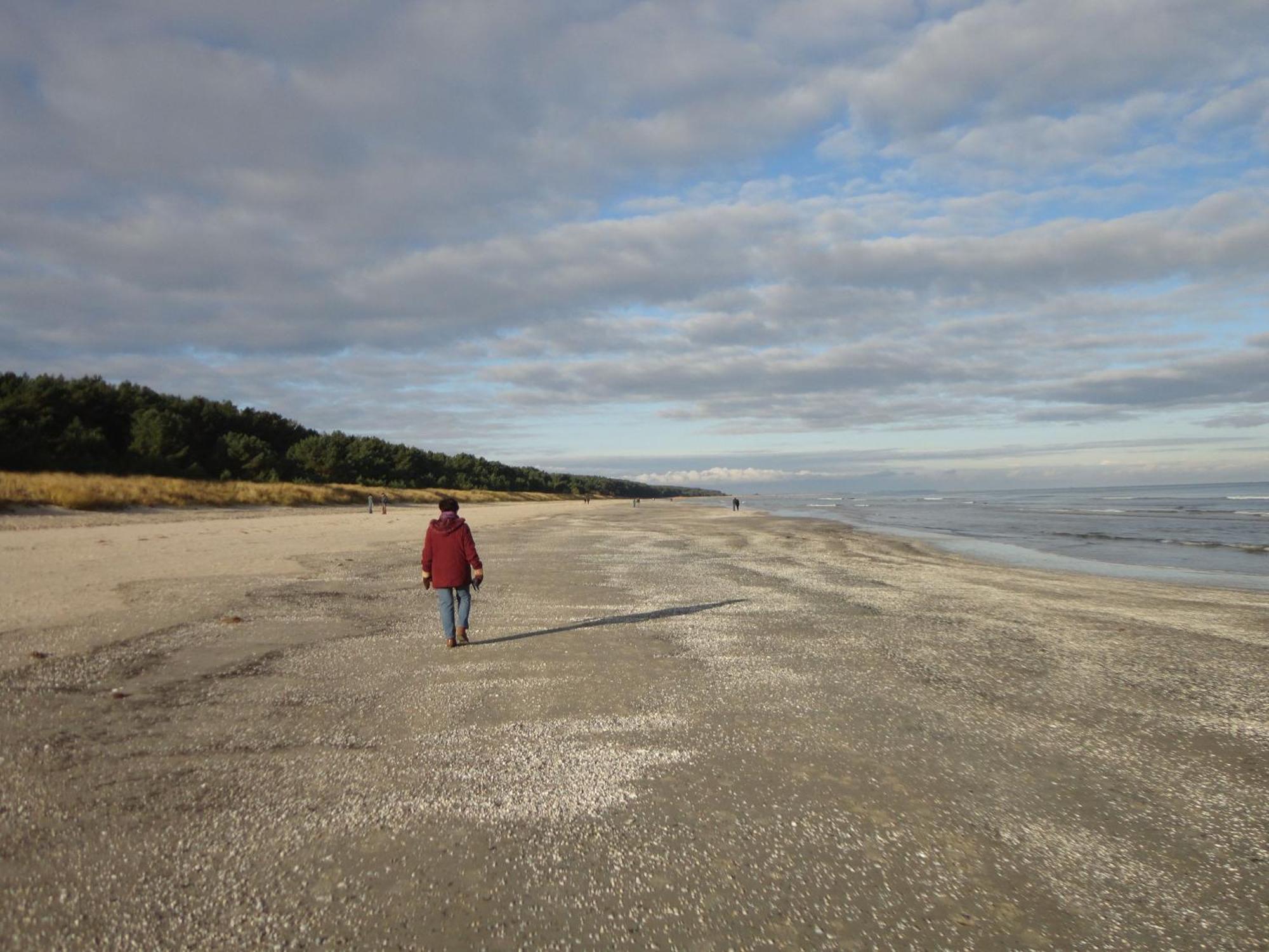Ostseemuschel Karlshagen Extérieur photo
