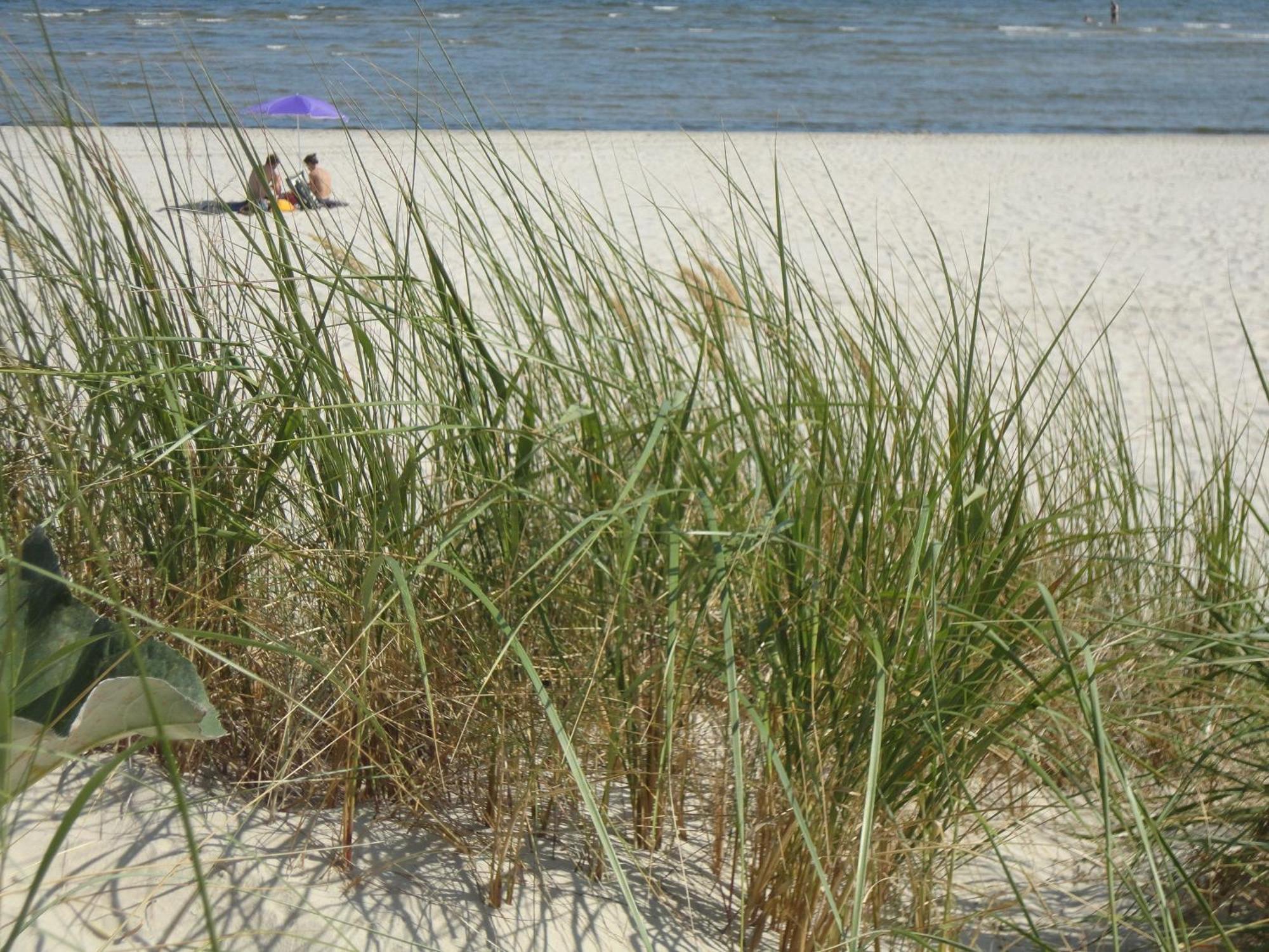Ostseemuschel Karlshagen Extérieur photo