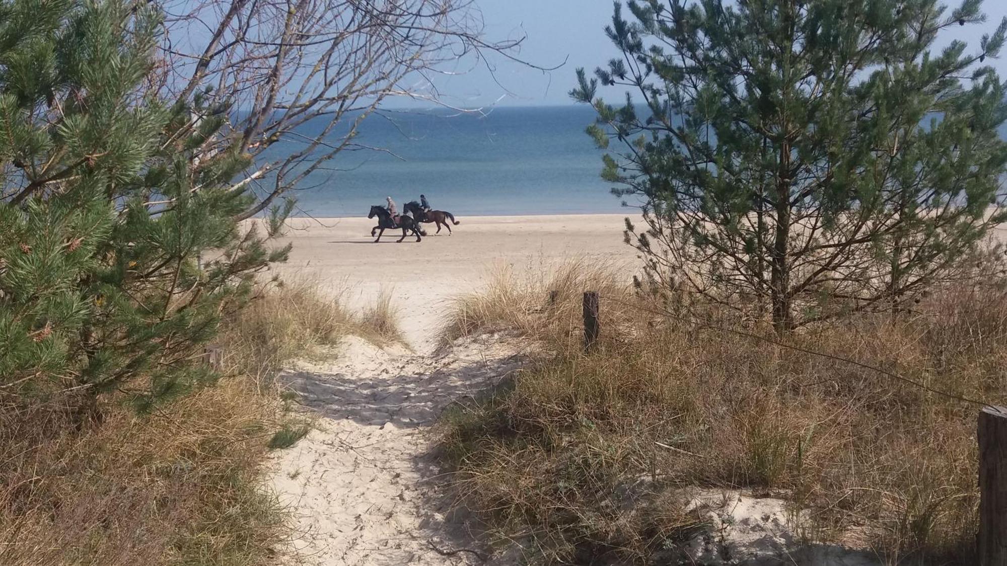 Ostseemuschel Karlshagen Extérieur photo